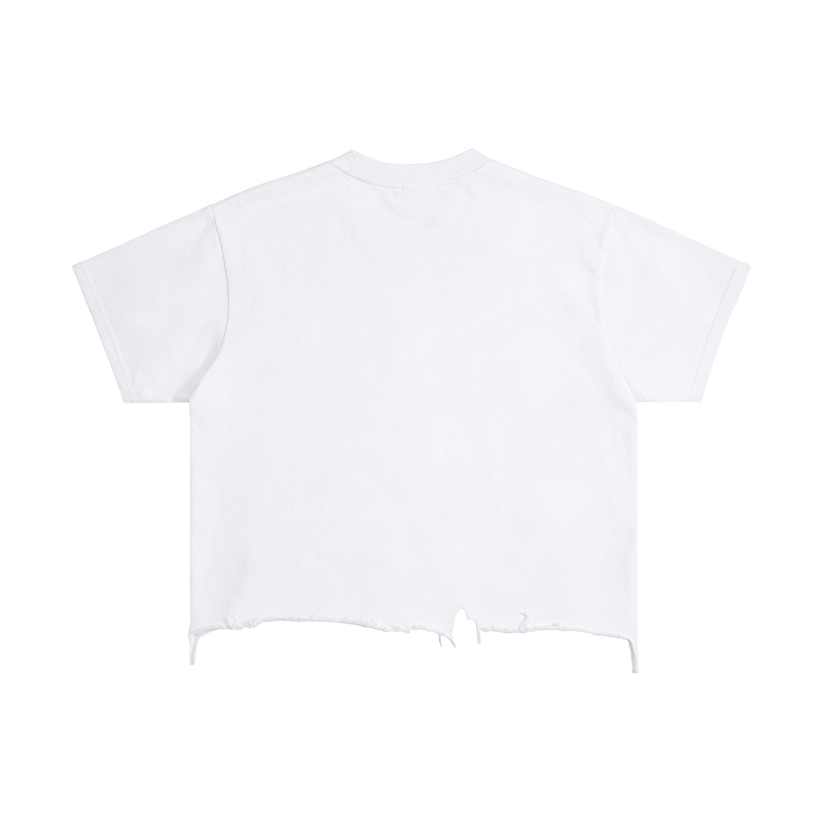 Five Rivers Distressed Cropped T-Shirt