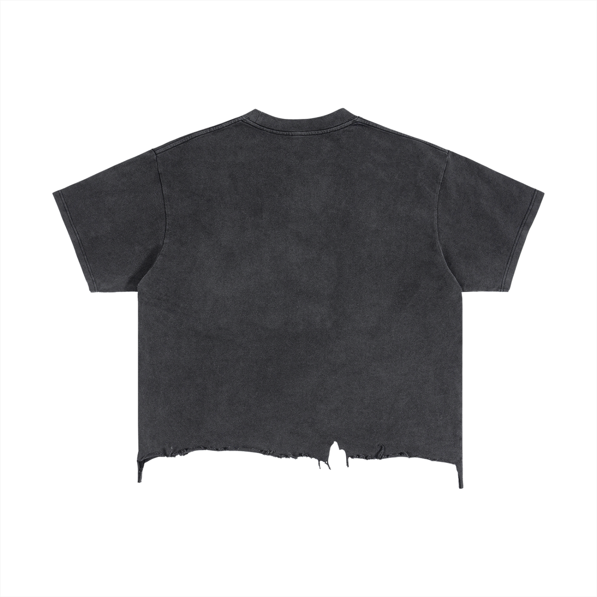 Five Rivers Distressed Cropped T-Shirt